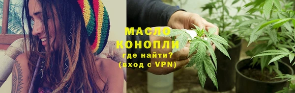 индика Бородино