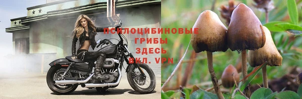 Альфа ПВП Бронницы