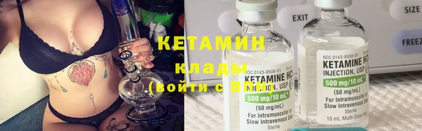 индика Бородино
