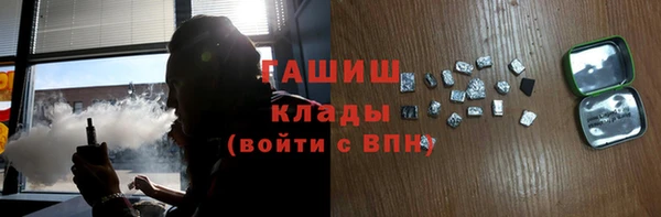 индика Бородино