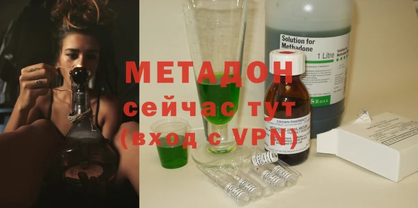 индика Бородино