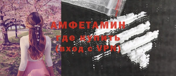 индика Бородино