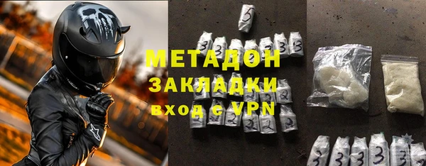 индика Бородино