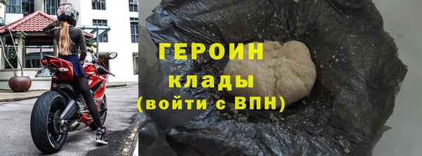 индика Бородино