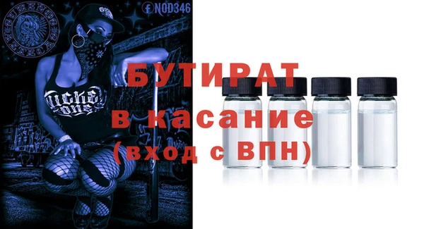 индика Бородино