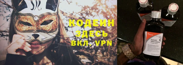 индика Бородино