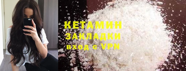индика Бородино