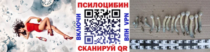 KRAKEN зеркало  Медногорск  Галлюциногенные грибы Magic Shrooms  как найти  